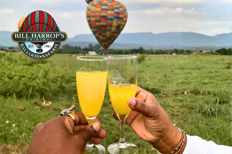 Guests enjoying a sunrise hot air balloon safari in the Magalies River Valley with Bill Harrop’s “Original” Balloon Safaris