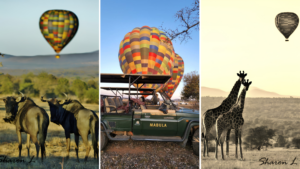 Wildlife, safari vehicle and hot air balloons at Mabula Private Game Reserve during a sunrise balloon safari experience