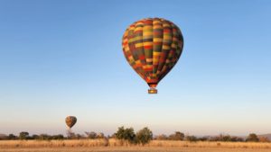 Hot air balloons floating above the African bushveld during a sunrise safari flight at Mabula Private Game Reserve