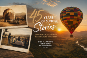 Hot air balloon rides in South Africa celebrating 45 years of sunrise balloon safaris since 1981