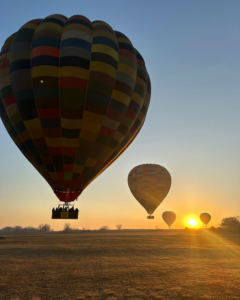 Hot air balloons taking off during a winter sunrise in the Magalies River Valley, South Africa