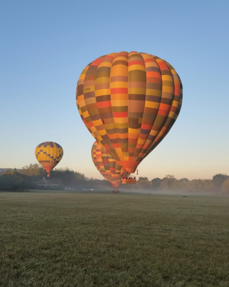 Three colourful hot air balloons rising above a grassy field in the morning light