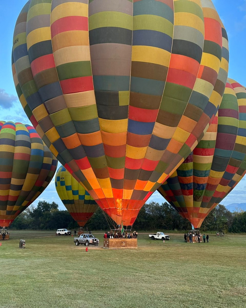 Colourful hot air balloons being prepared for flight on a grassy launch field
